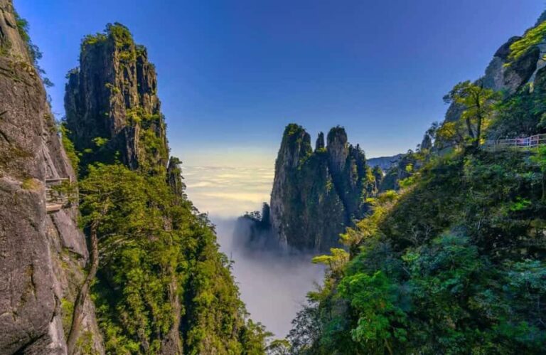 ChenZhou: Mangshan National Forest Park Day Trip - The Practicalities and Value