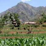 Chepang Hill Homestay Trek and Chitwan National Park Tour - Exploring the Itinerary: A Step-by-Step Journey