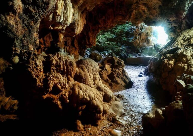 Cherrapunji: Guided Full-Day Trip from Shillong by Car - Practical Details and What to Expect