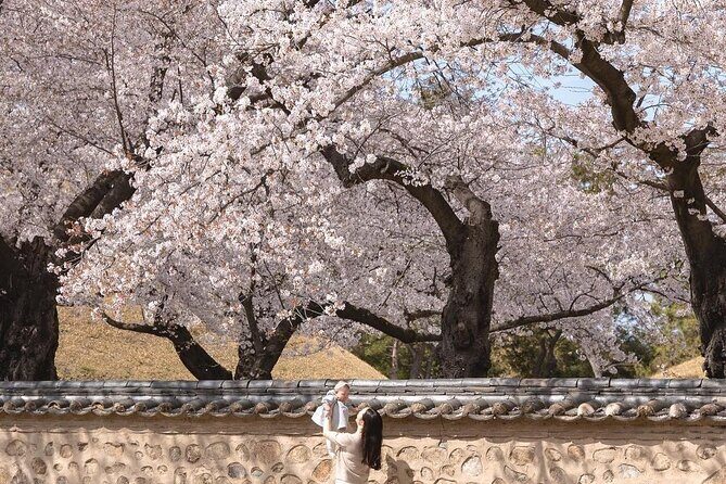 [Cherry blossom]Gyeongju Tour from SEOUL transfer to BUSAN - Is the Price Worth It?
