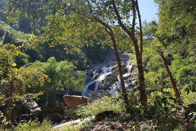 Chiang Mai 2 Day 1 Night Jungle Trekking and Bamboo Rafting - Why This Tour Offers Good Value