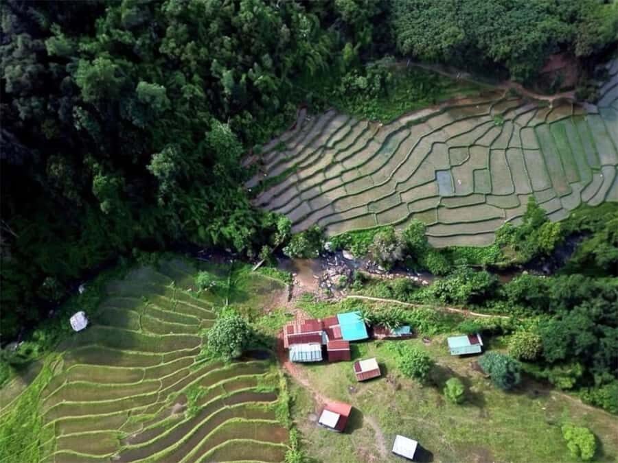 Chiang Mai: 2-Day Authentic Jungle Trek & Village Stay - What Makes This Tour Stand Out?