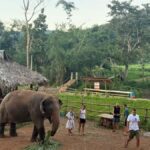Chiang Mai 2-Day: Good Morning Elephant & Overnight Homestay - What Makes This Tour Special?