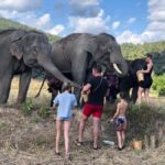 Chiang Mai: 2-Day Tour with Rafting, Elephants, and Waterfall - An In-Depth Look at the 2-Day Experience