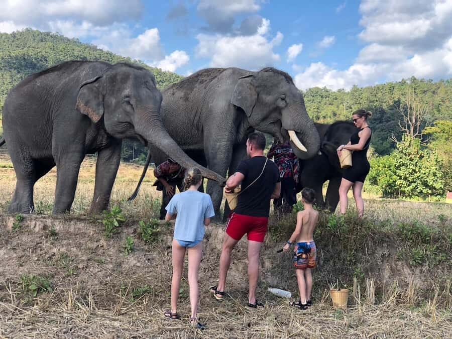 Chiang Mai: 2-Day Tour with Rafting, Elephants, and Waterfall - An In-Depth Look at the 2-Day Experience