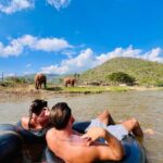 Chiang Mai 2-Day: Trek, Tubing, Waterfall & Elephant Feeding - Who Will Love This Tour?