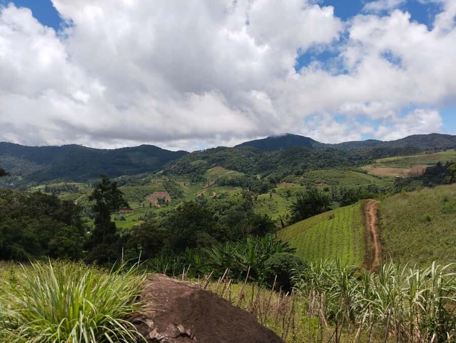 Chiang Mai: 2-Days Chiang Mai Hill tribe Trek - What’s Included and Practical Details