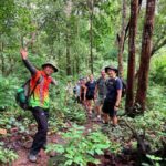 Chiang Mai: 2-Days Jungle Trek, Waterfalls and Karen Village - An In-Depth Look at the Itinerary and Experience