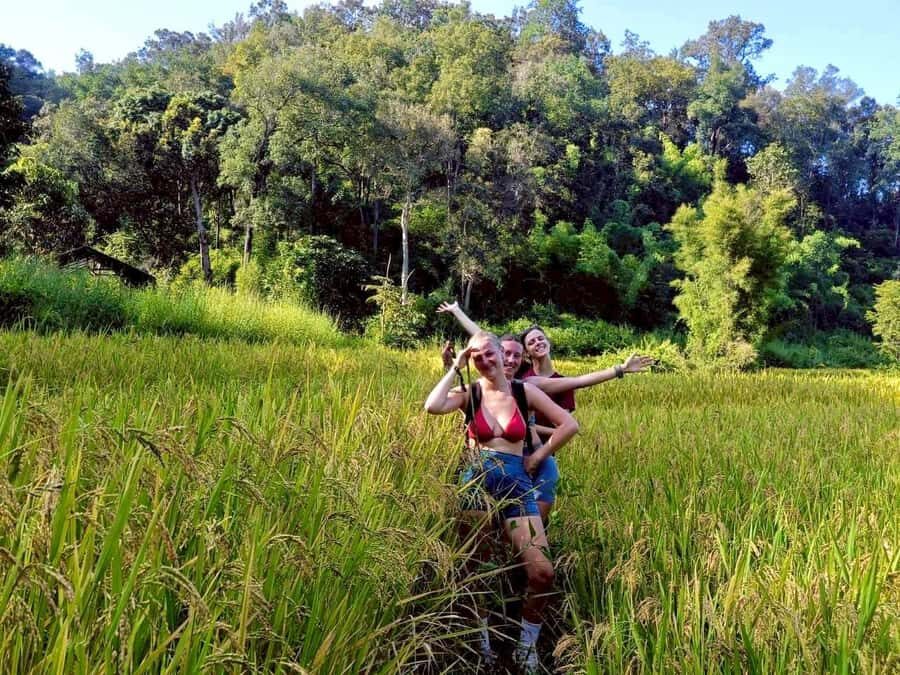 Chiang Mai: 3-Day Jungle Trek with White Karen Local Guide - Who Is This Tour Best For?