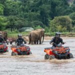 Chiang Mai: 3-Hour ATV Quad Biking Jungle Adventure - An Overview of the Adventure