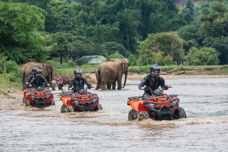 Chiang Mai: 3-Hour ATV Quad Biking Jungle Adventure - An Overview of the Adventure