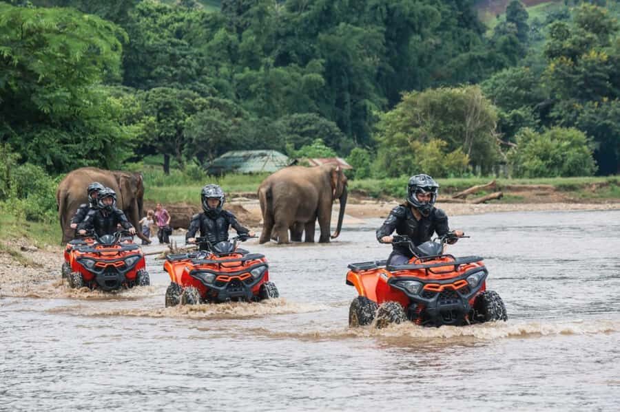 Chiang Mai: 3-Hour ATV Quad Biking Jungle Adventure - An Overview of the Adventure