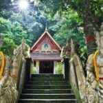 Chiang Mai City Tours with Professional Driver. - What to Expect from the Chiang Mai City & Temple Tour