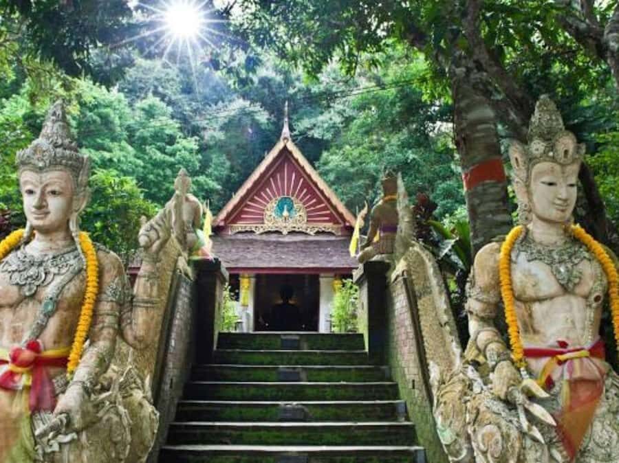 Chiang Mai City Tours with Professional Driver. - What to Expect from the Chiang Mai City & Temple Tour