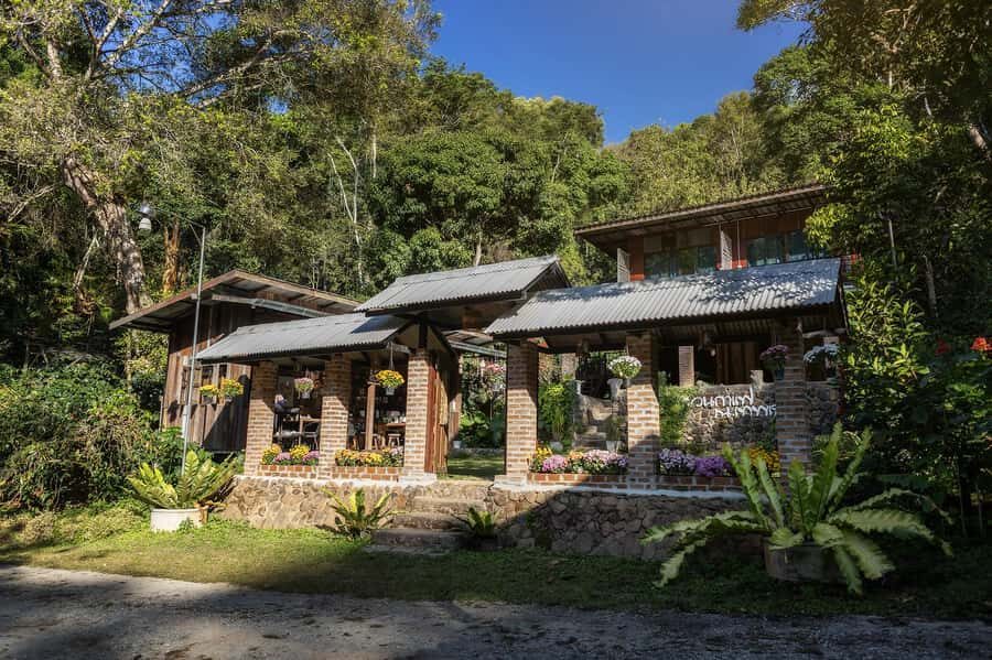 Chiang Mai : Coffee Process & Tasting  From Cherry to Cup - Detailed Breakdown of the Itinerary