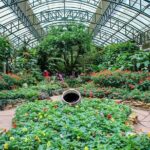 Chiang Mai Cultural Highlights: Wat Doi Suthep & Phu Ping Palace - The Itinerary in Detail: What to Expect