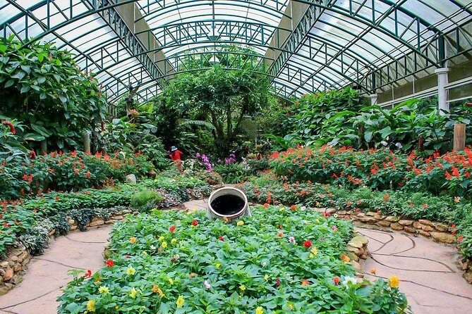 Chiang Mai Cultural Highlights: Wat Doi Suthep & Phu Ping Palace - The Itinerary in Detail: What to Expect