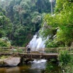 Chiang Mai: Doi Inthanon Hike, Coffee, and Tree Planting - What the Tour Offers Beyond the Surface
