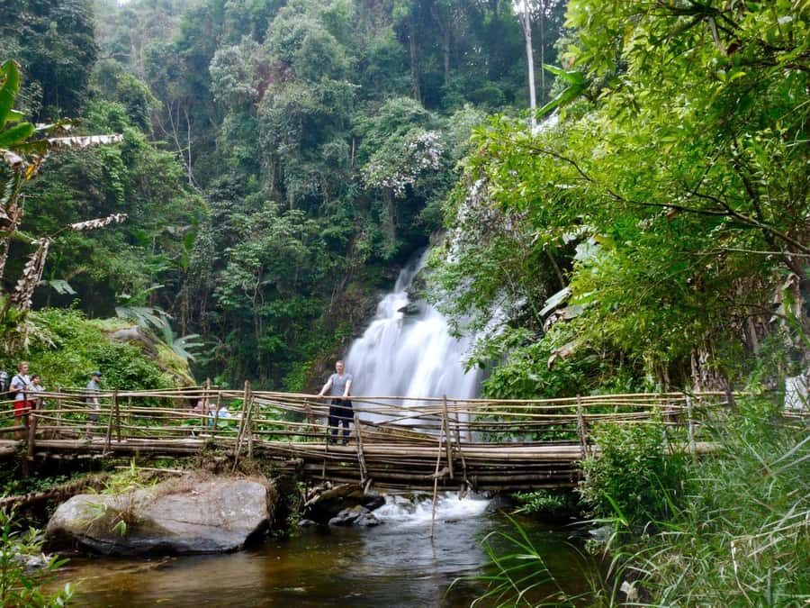 Chiang Mai: Doi Inthanon Hike, Coffee, and Tree Planting - What the Tour Offers Beyond the Surface