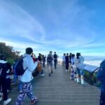 Chiang Mai: Doi Inthanon Kew Mae Pan Trek & Panoramic Views - What Travelers Say