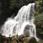 Chiang Mai: Doi Inthanon National Park Tour - What Makes This Tour Stand Out