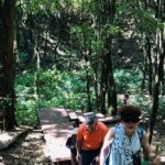 Chiang Mai Doi Inthanon Nature, Culture & Highest Point - Who Would Love This Tour?