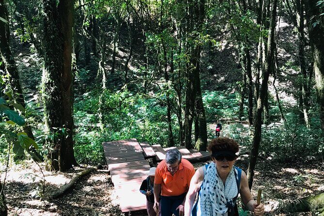 Chiang Mai Doi Inthanon Nature, Culture & Highest Point - Who Would Love This Tour?