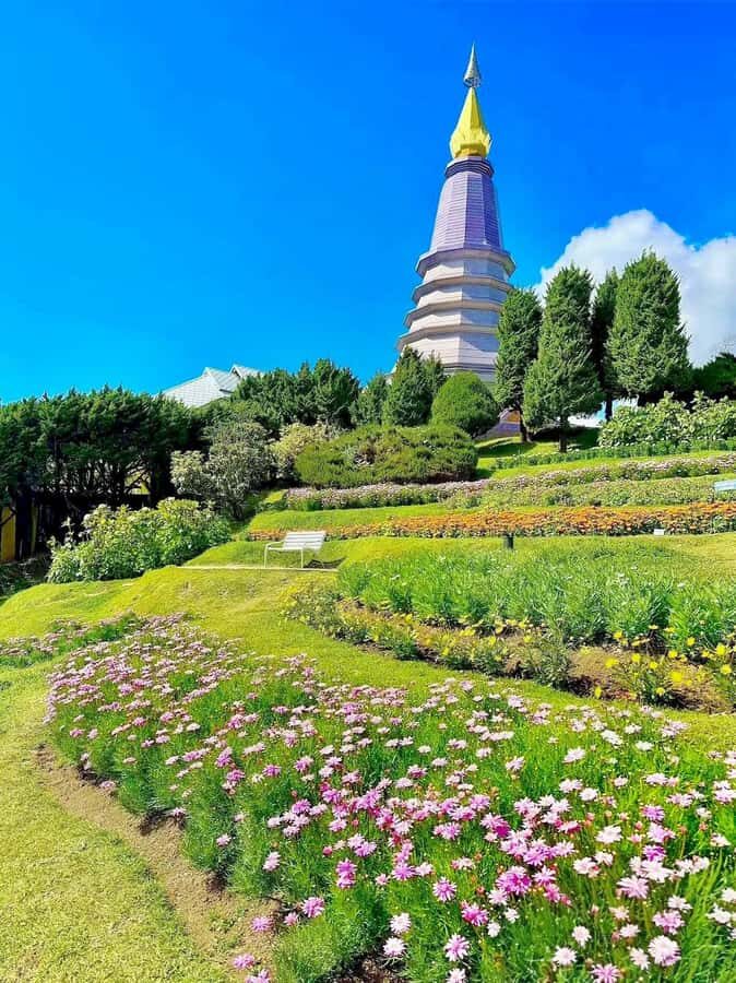 Chiang Mai Doi Inthanon Waterfall Tour Free Lunch & Ticket - Why This Tour Offers Good Value