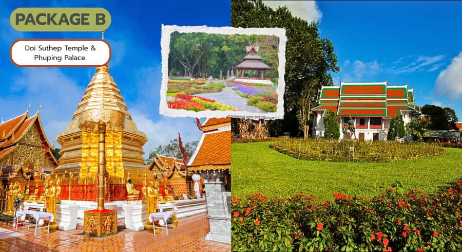 Chiang Mai: Doi Suthep Temple Tour with Hill Tribe or Palace - Who Should Consider This Tour?