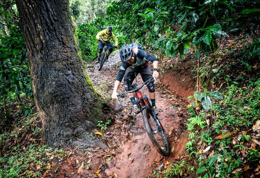 Chiang Mai: Downhill Mountain Biking Experience - Overview of the Experience