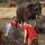Chiang Mai: Elephant care & Long Neck &Sticky Waterfall Tour - Why This Tour Offers Great Value