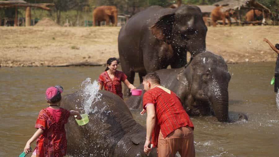 Chiang Mai: Elephant care & Long Neck &Sticky Waterfall Tour - Why This Tour Offers Great Value