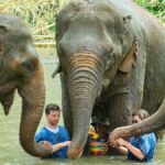 Chiang Mai : Elephant Care & Long necked village - What to Expect from the Tour