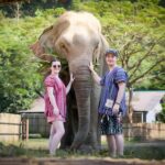 Chiang Mai Elephant Jungle Sanctuary &Mama Noi Cooking Class - What Makes This Tour Special?