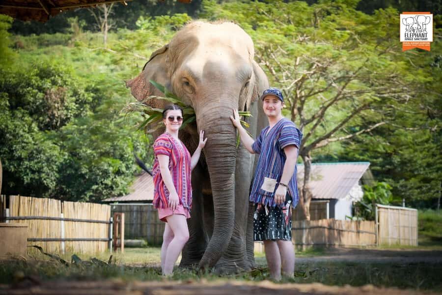 Chiang Mai Elephant Jungle Sanctuary &Mama Noi Cooking Class - What Makes This Tour Special?