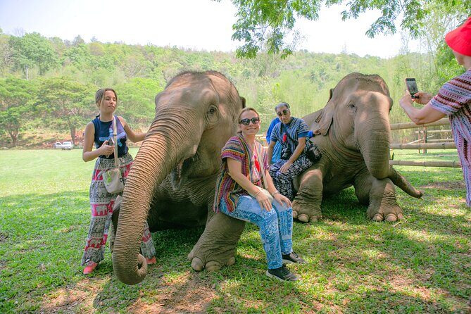 Chiang Mai Elephant Sanctuary and Sticky Waterfall Day Tour - Possible Drawbacks and Considerations