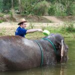 Chiang Mai: Elephant Sanctuary Experience & Doi Suthep Tour - Exploring Doi Suthep: Iconic Views and Spiritual Depth