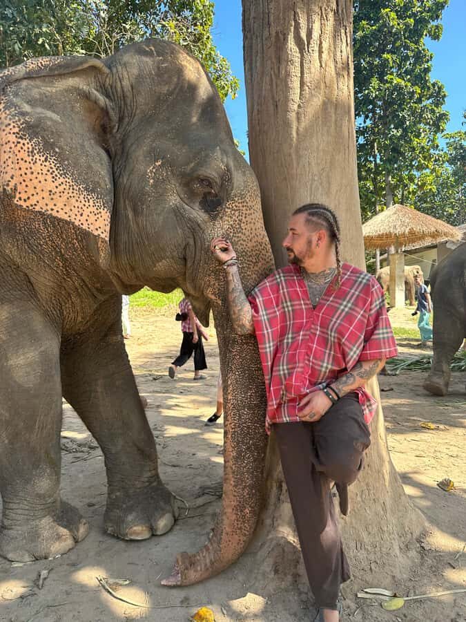 Chiang Mai: Elephant Sanctuary Guided Tour in Spanish - The Value of This Tour