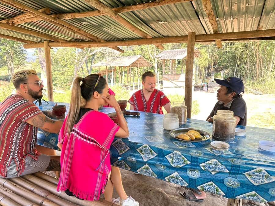 Chiang Mai Elephant Village Life: Long Neck & Bamboo Rafting - The Ethical Elephant Care Philosophy