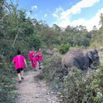 Chiang Mai Elephant Watch and Wang River Rafting - Who is This Tour Best For?