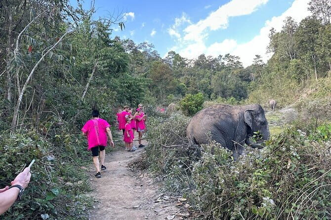 Chiang Mai Elephant Watch and Wang River Rafting - Who is This Tour Best For?