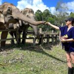 Chiang Mai : Ethical Elephant Sanctuary and ATV Adventure - What Makes This Tour Valuable