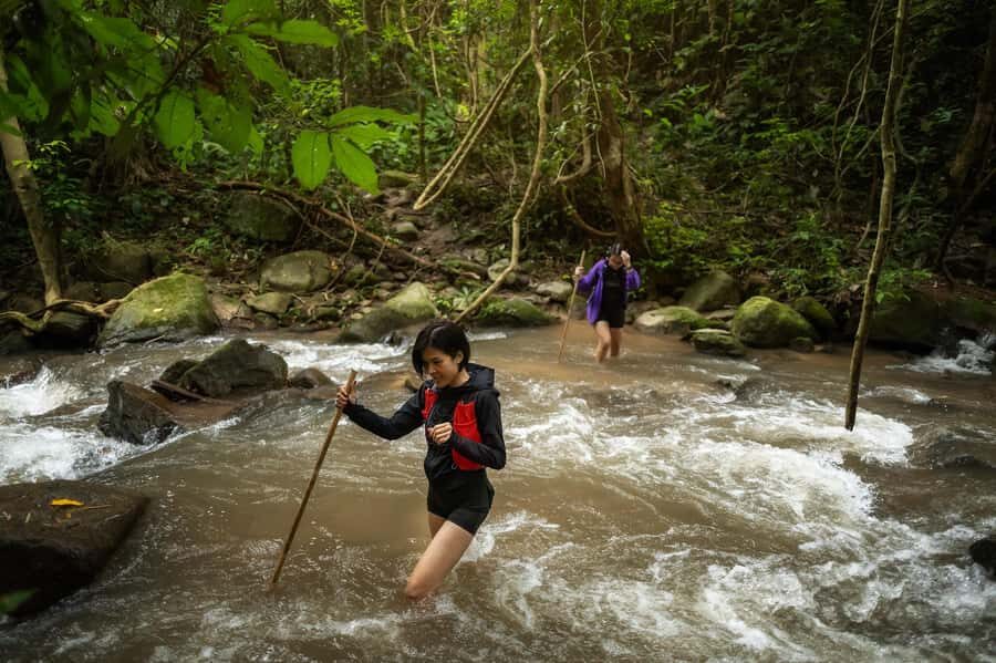 Chiang Mai : Follow the River in Chiang Dao Full Day Hiking - The Value of the Experience