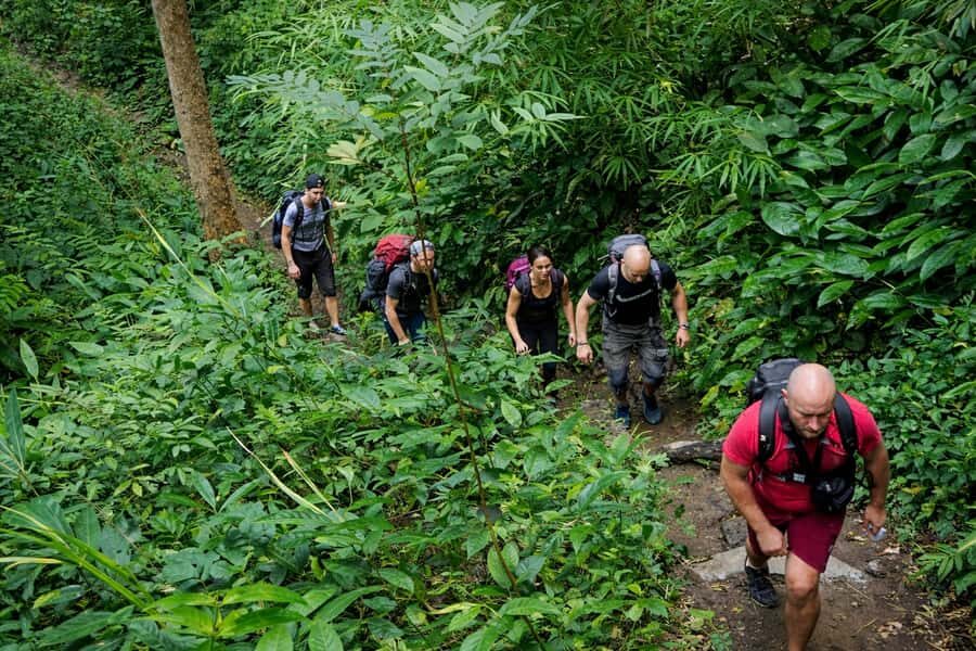 Chiang Mai: Forest Trekking & Visit Hill Tribe Village - In-Depth Breakdown of the Itinerary