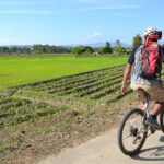 Chiang Mai: Full-Day Nature & Countryside by Bicycle - The Practicalities: What to Expect
