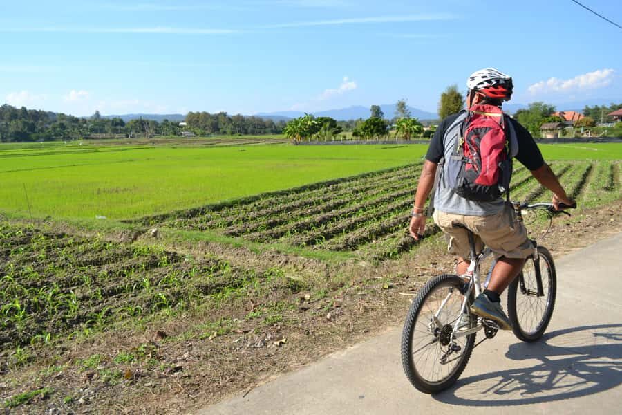 Chiang Mai: Full-Day Nature & Countryside by Bicycle - The Practicalities: What to Expect