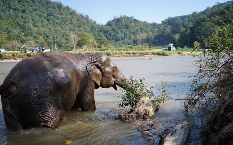 Chiang Mai Half-Day: River Tubing & Waterfall Slide - The Sum Up
