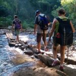 Chiang Mai: Hill Tribes Trek (Palong) with Lunch & Transfers - A Practical and Authentic Day in Chiang Mai’s Hill Tribes