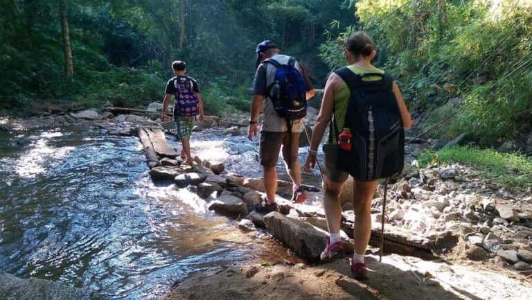 Chiang Mai: Hill Tribes Trek (Palong) with Lunch & Transfers - A Practical and Authentic Day in Chiang Mai’s Hill Tribes