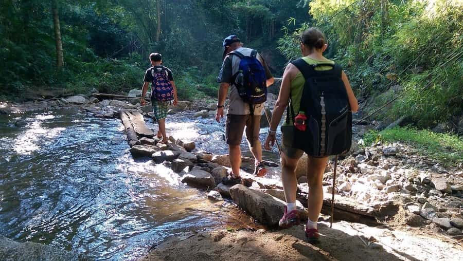 Chiang Mai: Hill Tribes Trek (Palong) with Lunch & Transfers - A Practical and Authentic Day in Chiang Mai’s Hill Tribes